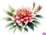 常见木本花卉