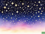 2025年七色满天星的花语