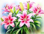 百合花养球需要浇水吗