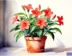 室内很热适合养什么花