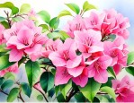 三角梅花的特点是什么