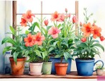 哪些植物适合放家里养