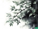 小叶紫檀有黑色的纹路