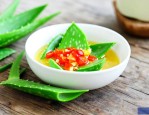 芦荟怎么做好吃又营养