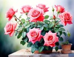 月季花适合室内养殖吗