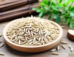 麦冬草草籽多少钱一斤