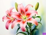 长的像百合的是什么花