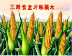 2025年三北玉米品种大全