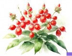 凤仙花种子是什么传播