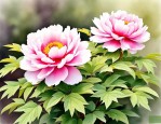 2025年牡丹花的特点特征