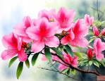 杜鹃花是不是叫映山红