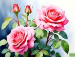 月季花什么季节开的最好