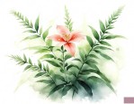 文竹花的寓意