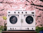 日本樱花煤气灶好不好