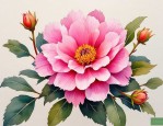 2025年开业用的是什么花