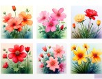 四季开的花 春夏秋冬