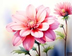 什么花的花语代表温柔