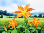 曼陀罗花在农村叫什么