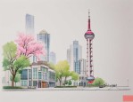 2025年上海市白玉兰妇科