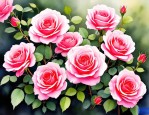 2025年蔷薇花花语和寓意