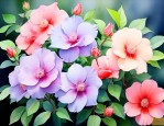 什么花最好养还四季开花
