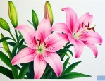 百合花的心情简单说说