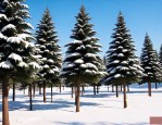 4米高雪松多少钱一棵