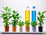 水培植物用哪种营养液