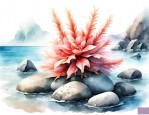 海石花的味道