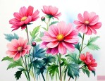 治头痛的花叫什么名字
