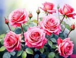 玫瑰花怎么养家庭养法