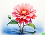 什么花的花语是纯粹的爱