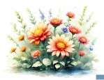 夏天哪些花好养