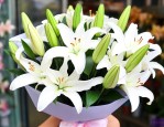花店百合花多少钱一束