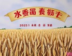 2025年小麦种子十大品牌