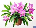 吊兰花怎么养才能旺盛