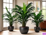 2025年名贵绿植室内盆栽