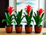 鸿运当头盆栽植物室内