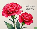 2025年康乃馨的花语是啥