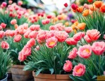逛花市场唯美心情句子