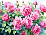 蔷薇花什么季节栽最好