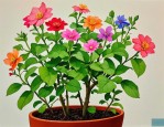 2025年好种植的花有哪些