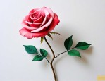 手工玫瑰花布艺花制作