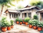 农村院里适合什么盆栽
