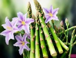 芦笋上面的花要去掉吗