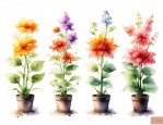 一年四季能种的花