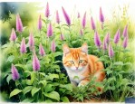 猫尾草种在什么植物上