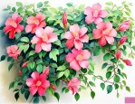 有哪些爬藤花四季开花不断
