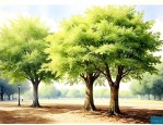 梧桐树和法国梧桐区别