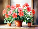 适合长期在室内养的花